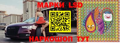 apvp Камышлов