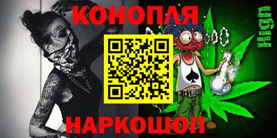 apvp Камышлов