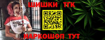 apvp Камышлов