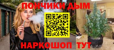 apvp Камышлов