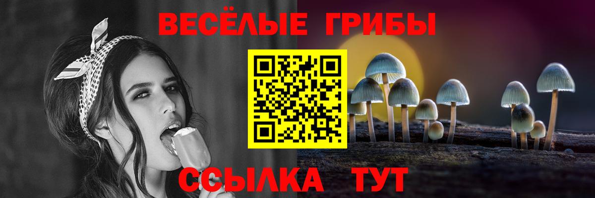 Галлюциногенные грибы мицелий Кушва